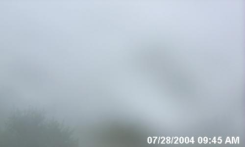 Fog Maine Charter in Maine
