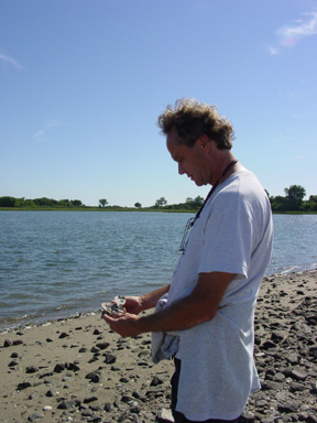 coastal living rhythm