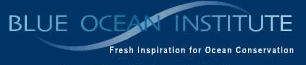Blue Ocean Institute