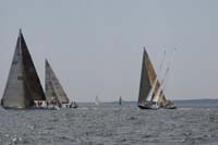 IMG_0551