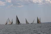 IMG_0558