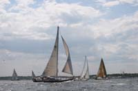IMG_0981