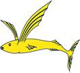 Flying Fish